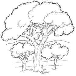 Coloring page: Tree (Nature and Seasons) #154679 - Free Printable Coloring Pages