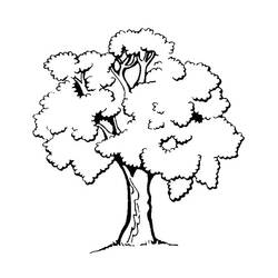Coloring page: Tree (Nature and Seasons) #154683 - Free Printable Coloring Pages