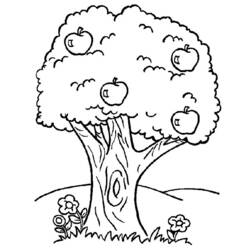 Coloring page: Tree (Nature and Seasons) #154702 - Free Printable Coloring Pages
