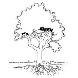 Coloring page: Tree (Nature and Seasons) #154704 - Free Printable Coloring Pages