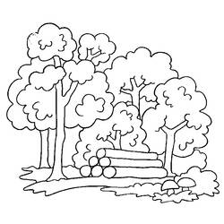 Coloring page: Tree (Nature and Seasons) #154706 - Free Printable Coloring Pages