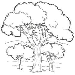 Coloring page: Tree (Nature and Seasons) #154733 - Free Printable Coloring Pages