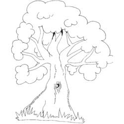 Coloring page: Tree (Nature and Seasons) #154736 - Free Printable Coloring Pages