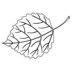 Coloring page: Tree (Nature and Seasons) #154753 - Free Printable Coloring Pages