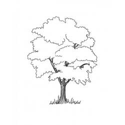 Coloring page: Tree (Nature and Seasons) #154760 - Free Printable Coloring Pages