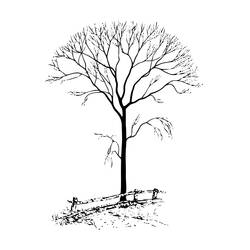 Coloring page: Tree (Nature and Seasons) #154769 - Free Printable Coloring Pages