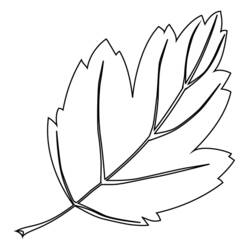 Coloring page: Tree (Nature and Seasons) #154773 - Free Printable Coloring Pages