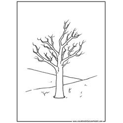 Coloring page: Tree (Nature and Seasons) #154777 - Free Printable Coloring Pages