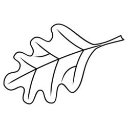 Coloring page: Tree (Nature and Seasons) #154808 - Free Printable Coloring Pages