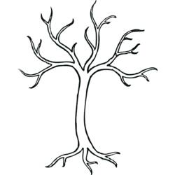 Coloring page: Tree (Nature and Seasons) #154882 - Free Printable Coloring Pages