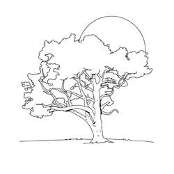 Tree (Nature and Seasons) coloring page #190463 to print and color