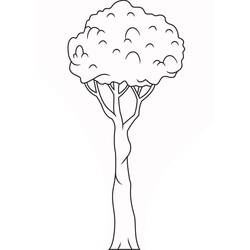 Tree (Nature and Seasons) coloring page #190481 to print and color