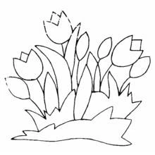 Tulip (Nature and Seasons) coloring page #161624 to print and color