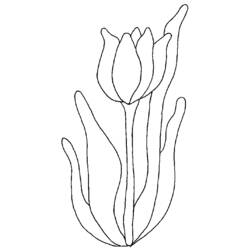 Tulip (Nature and Seasons) coloring page #161677 to print and color