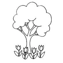 Tulip (Nature and Seasons) coloring page #161705 to print and color