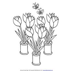 Tulip (Nature and Seasons) coloring page #161714 to print and color