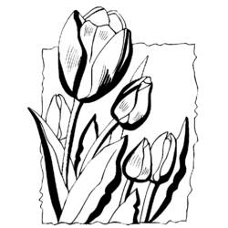 Tulip (Nature and Seasons) coloring page #161730 to print and color