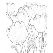Tulip (Nature and Seasons) coloring page #161750 to print and color