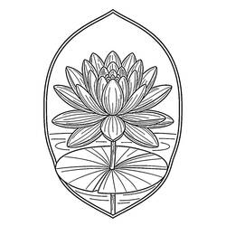 water lily (Nature and Seasons) coloring page #221865 to print and color