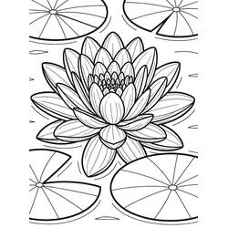 water lily (Nature and Seasons) coloring page #221867 to print and color