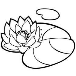 water lily (Nature and Seasons) coloring page #221871 to print and color