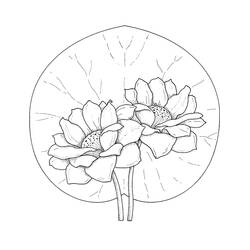 water lily (Nature and Seasons) coloring page #221875 to print and color