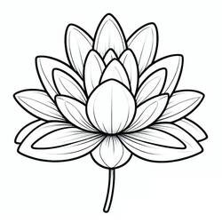 water lily (Nature and Seasons) coloring page #221885 to print and color