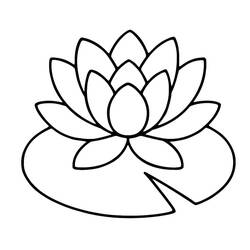 water lily (Nature and Seasons) coloring page #221887 to print and color