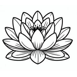 water lily (Nature and Seasons) coloring page #221890 to print and color