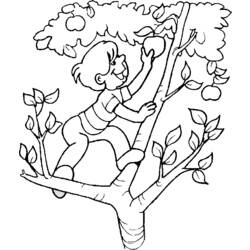 Coloring page: Apple tree (Nature) #163444 - Printable coloring pages
