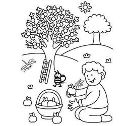 Coloring page: Apple tree (Nature) #163445 - Printable coloring pages