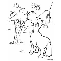 Coloring page: Apple tree (Nature) #163454 - Free Printable Coloring Pages