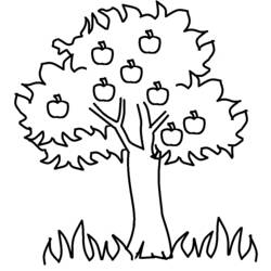 Coloring page: Apple tree (Nature) #163457 - Printable coloring pages