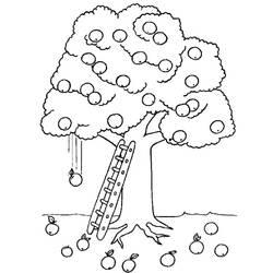 Coloring page: Apple tree (Nature) #163662 - Printable coloring pages