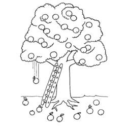 Coloring page: Apple tree (Nature) #163771 - Free Printable Coloring Pages