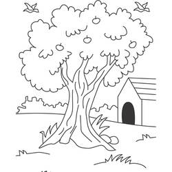 Coloring page: Apple tree (Nature) #163772 - Free Printable Coloring Pages