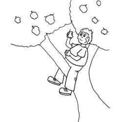 Coloring page: Apple tree (Nature) #163792 - Free Printable Coloring Pages