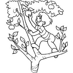 Coloring page: Apple tree (Nature) #163793 - Printable coloring pages
