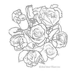 Coloring page: Bouquet of flowers (Nature) #160729 - Free Printable Coloring Pages