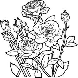 Coloring page: Bouquet of flowers (Nature) #160730 - Free Printable Coloring Pages