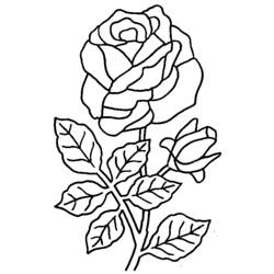 Coloring page: Bouquet of flowers (Nature) #160738 - Free Printable Coloring Pages