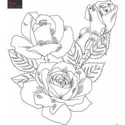 Coloring page: Bouquet of flowers (Nature) #160739 - Free Printable Coloring Pages