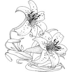 Coloring page: Bouquet of flowers (Nature) #160834 - Free Printable Coloring Pages