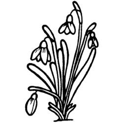 Coloring page: Bouquet of flowers (Nature) #160845 - Free Printable Coloring Pages