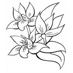 Coloring page: Bouquet of flowers (Nature) #160860 - Free Printable Coloring Pages