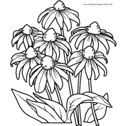 Coloring page: Bouquet of flowers (Nature) #160888 - Free Printable Coloring Pages