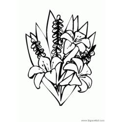 Coloring page: Bouquet of flowers (Nature) #160891 - Free Printable Coloring Pages