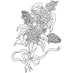 Coloring page: Bouquet of flowers (Nature) #160994 - Free Printable Coloring Pages