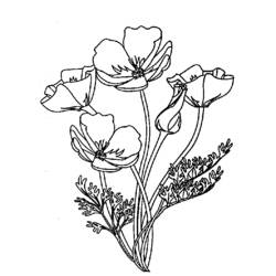 Coloring page: Bouquet of flowers (Nature) #161045 - Printable coloring pages