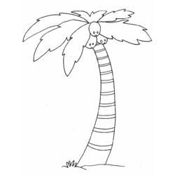 Coloring page: Coconut tree (Nature) #162115 - Printable coloring pages